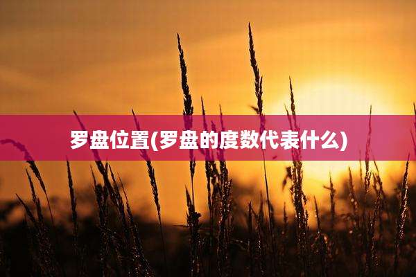 罗盘位置(罗盘的度数代表什么)