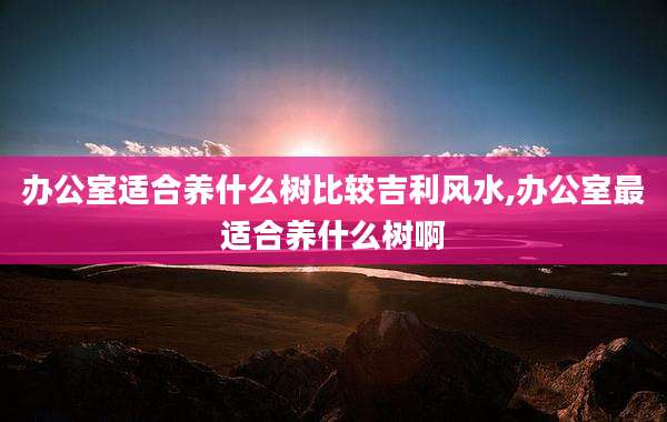 办公室适合养什么树比较吉利风水,办公室最适合养什么树啊