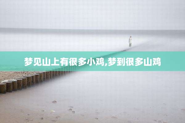 梦见山上有很多小鸡,梦到很多山鸡