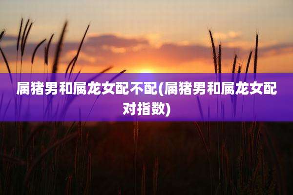 属猪男和属龙女配不配(属猪男和属龙女配对指数)