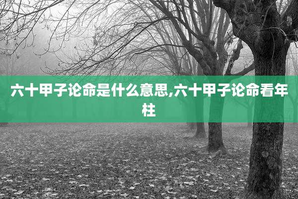 六十甲子论命是什么意思,六十甲子论命看年柱