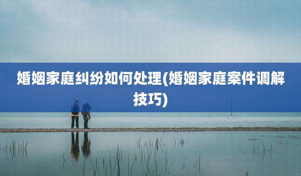 婚姻家庭纠纷如何处理(婚姻家庭案件调解技巧)