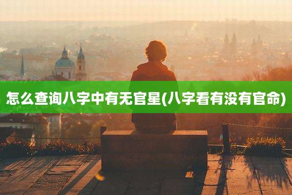 怎么查询八字中有无官星(八字看有没有官命)