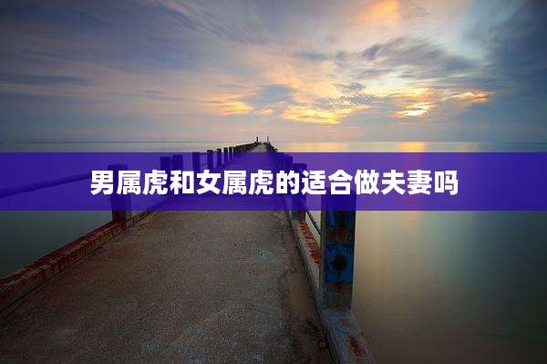 男属虎和女属虎的适合做夫妻吗