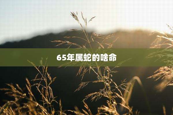 65年属蛇的啥命