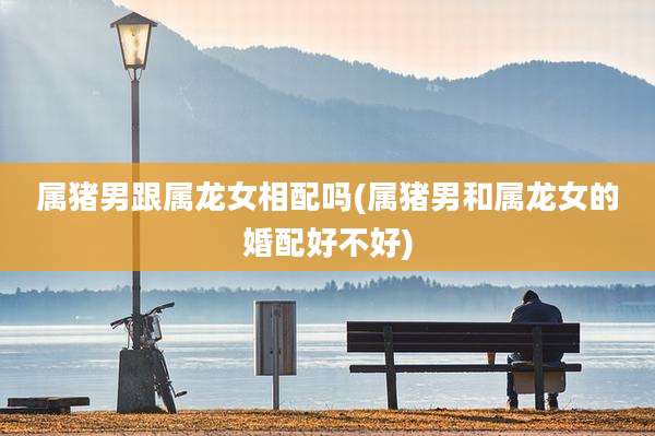 属猪男跟属龙女相配吗(属猪男和属龙女的婚配好不好)