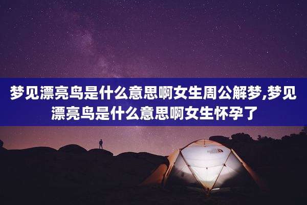 梦见漂亮鸟是什么意思啊女生周公解梦,梦见漂亮鸟是什么意思啊女生怀孕了