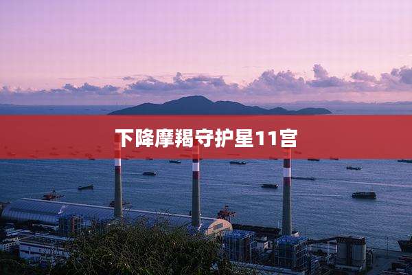 下降摩羯守护星11宫