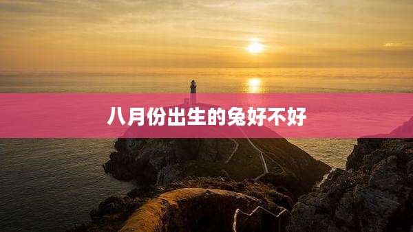 八月份出生的兔好不好