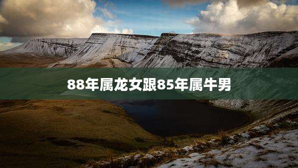 88年属龙女跟85年属牛男