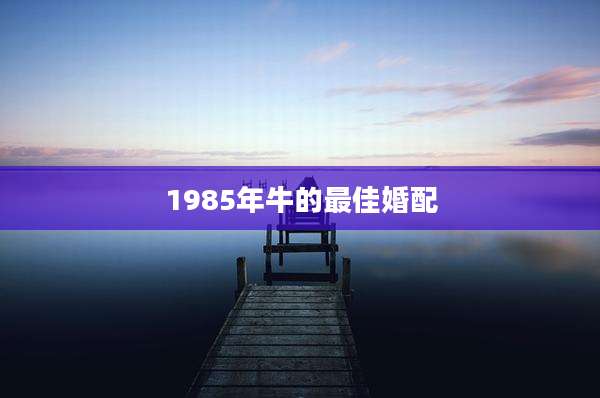 1985年牛的最佳婚配