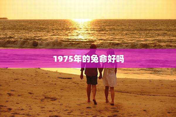 1975年的兔命好吗