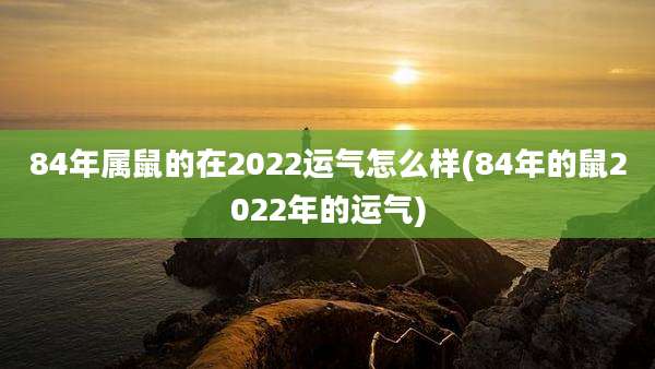 84年属鼠的在2022运气怎么样(84年的鼠2022年的运气)