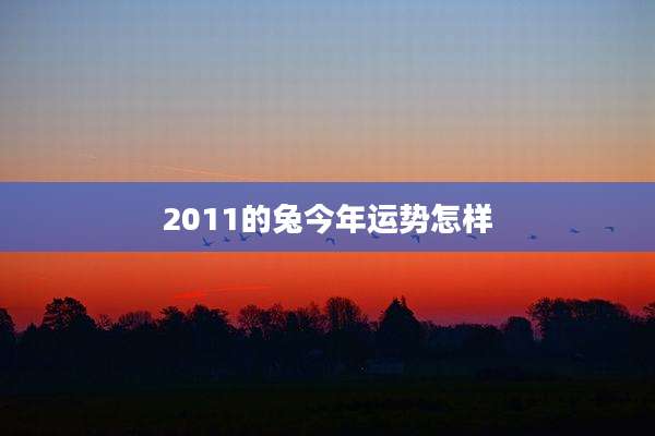 2011的兔今年运势怎样