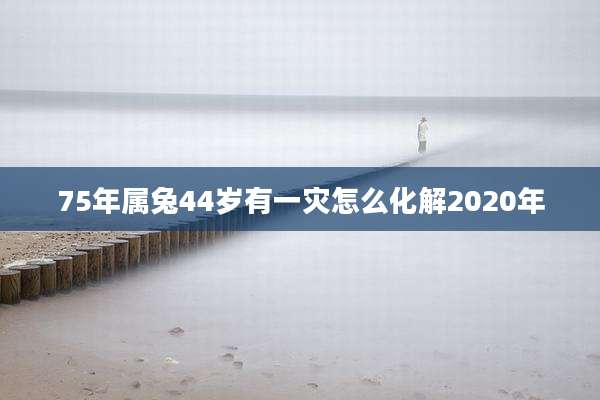 75年属兔44岁有一灾怎么化解2020年
