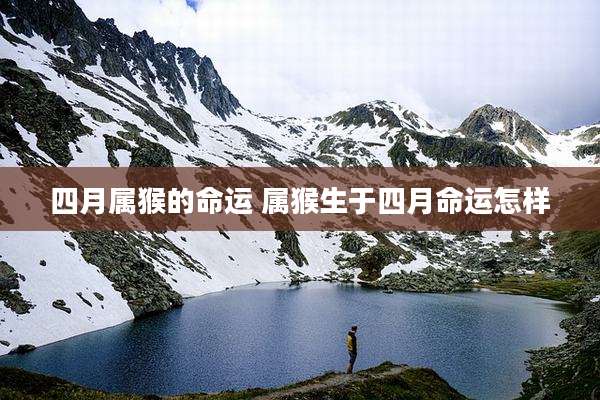 四月属猴的命运 属猴生于四月命运怎样