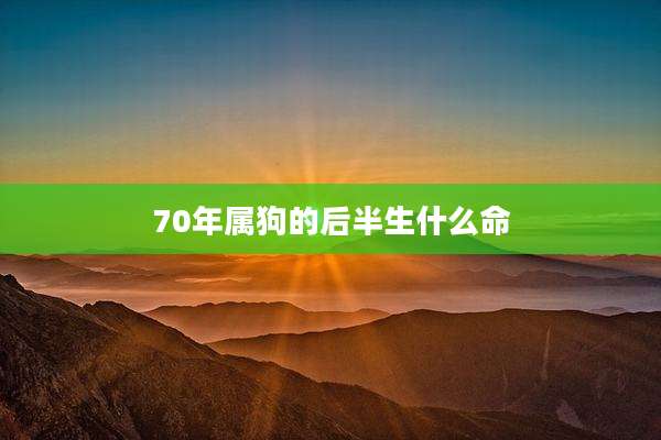 70年属狗的后半生什么命