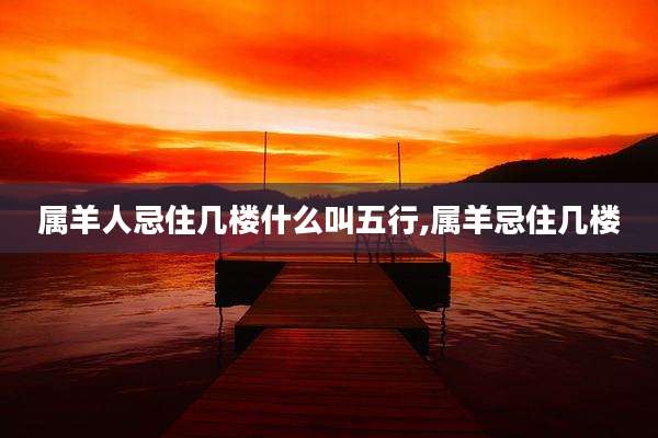 属羊人忌住几楼什么叫五行,属羊忌住几楼