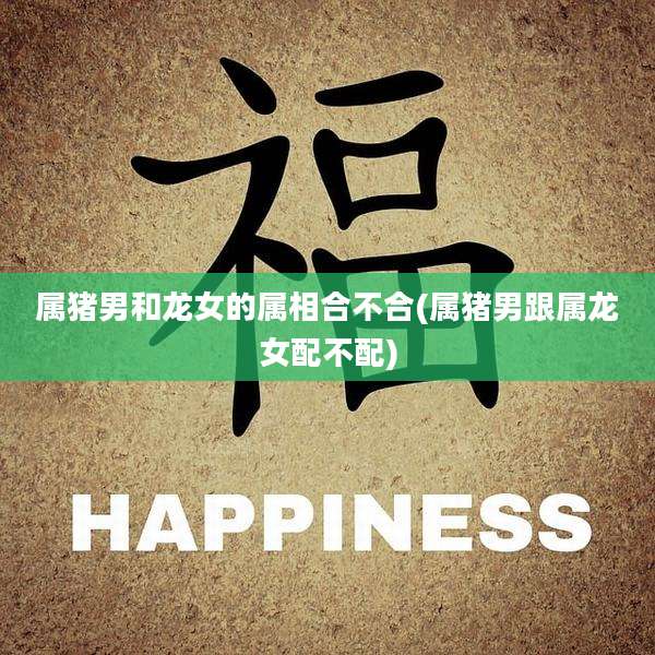属猪男和龙女的属相合不合(属猪男跟属龙女配不配)