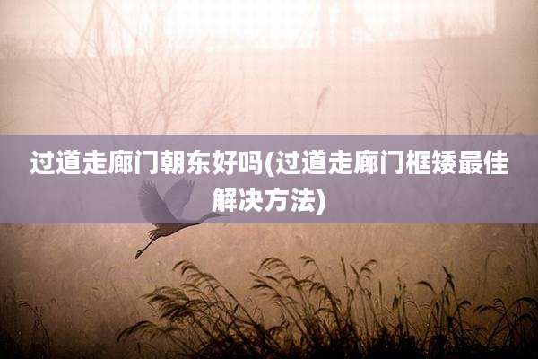 过道走廊门朝东好吗(过道走廊门框矮最佳解决方法)
