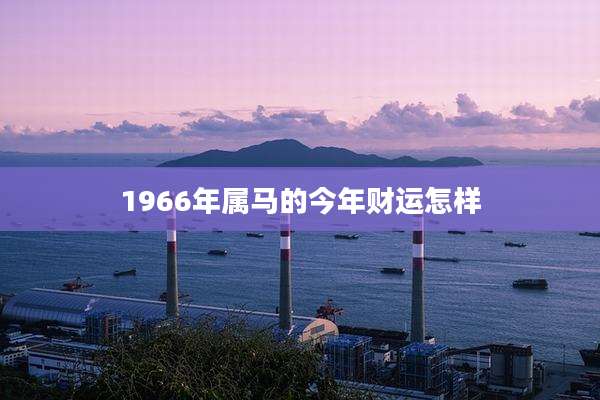 1966年属马的今年财运怎样