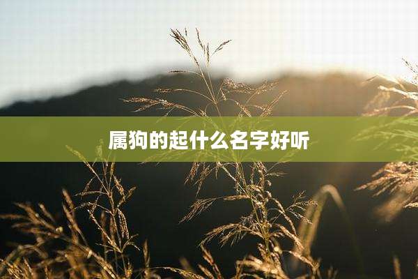 属狗的起什么名字好听
