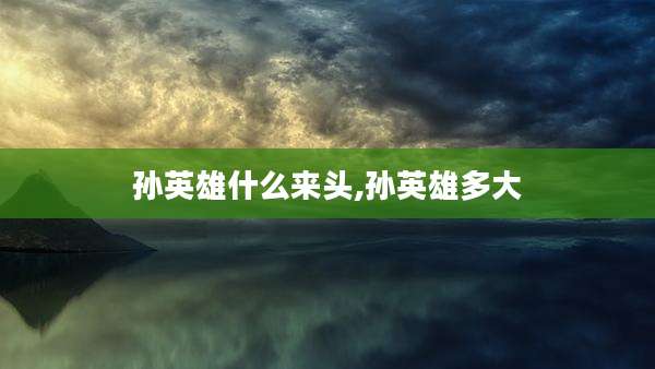 孙英雄什么来头,孙英雄多大
