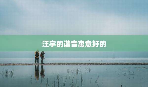 汪字的谐音寓意好的