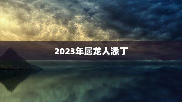 2023年属龙人添丁
