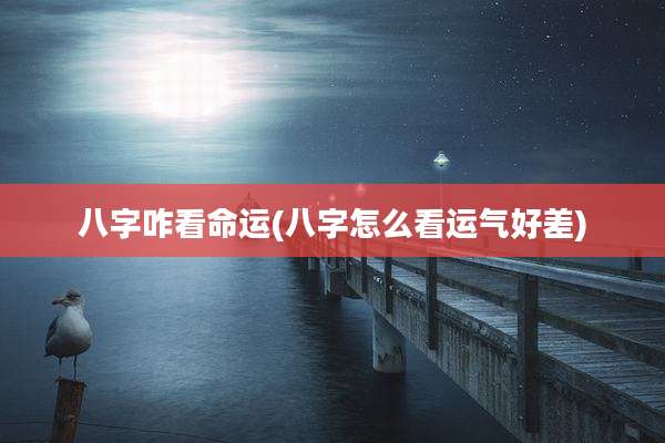 八字咋看命运(八字怎么看运气好差)