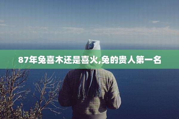 87年兔喜木还是喜火,兔的贵人第一名