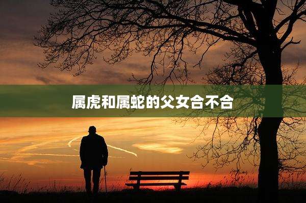 属虎和属蛇的父女合不合