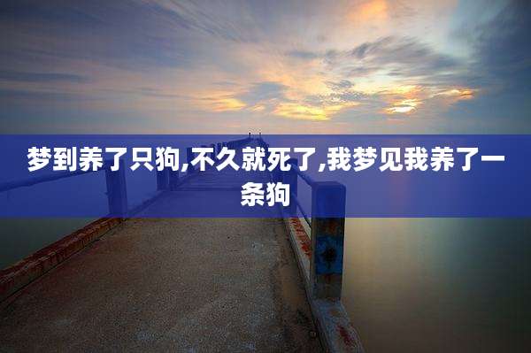 梦到养了只狗,不久就死了,我梦见我养了一条狗