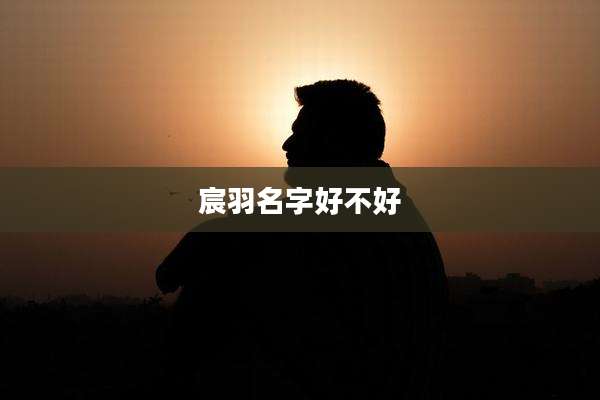 宸羽名字好不好