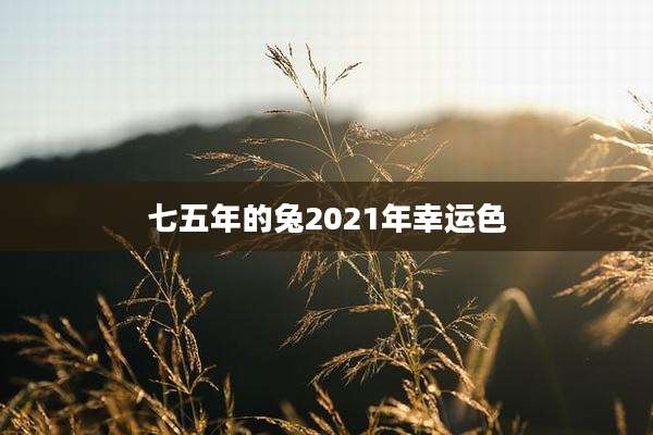 七五年的兔2021年幸运色