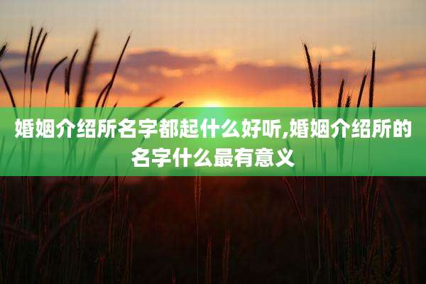 婚姻介绍所名字都起什么好听,婚姻介绍所的名字什么最有意义