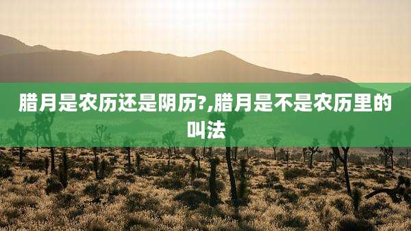 腊月是农历还是阴历?,腊月是不是农历里的叫法