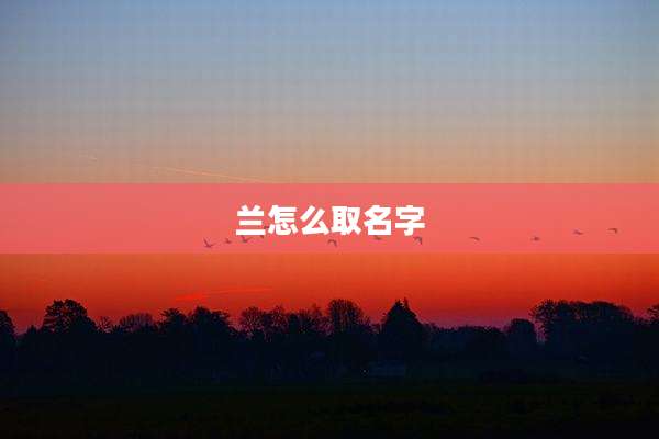 兰怎么取名字