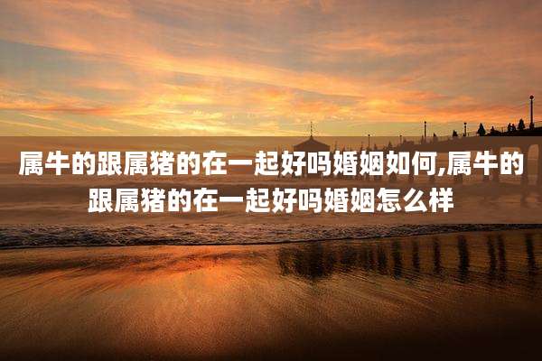 属牛的跟属猪的在一起好吗婚姻如何,属牛的跟属猪的在一起好吗婚姻怎么样
