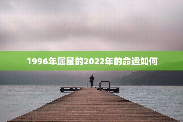 1996年属鼠的2022年的命运如何