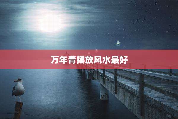 万年青摆放风水最好