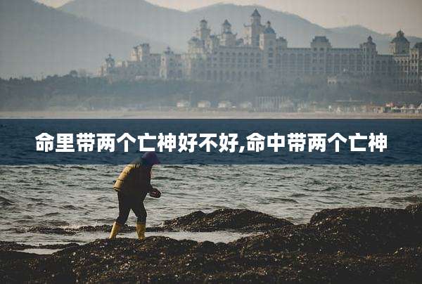命里带两个亡神好不好,命中带两个亡神