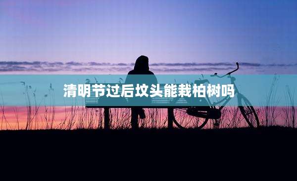 清明节过后坟头能栽柏树吗