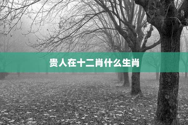 贵人在十二肖什么生肖