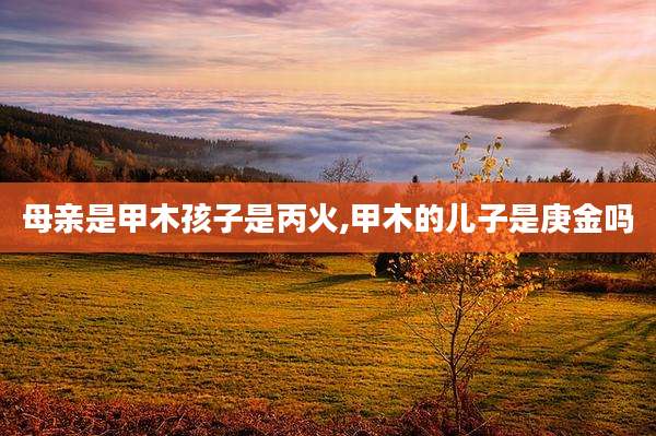 母亲是甲木孩子是丙火,甲木的儿子是庚金吗