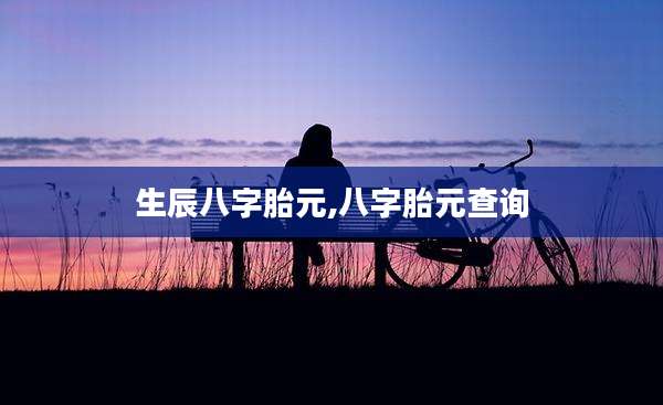生辰八字胎元,八字胎元查询