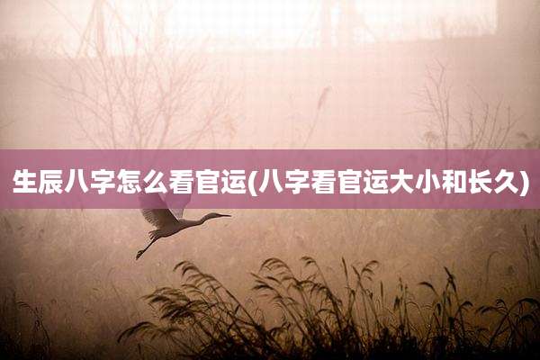 生辰八字怎么看官运(八字看官运大小和长久)