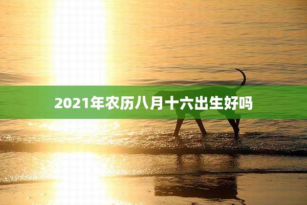 2021年农历八月十六出生好吗