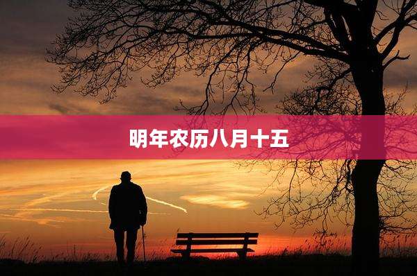 明年农历八月十五