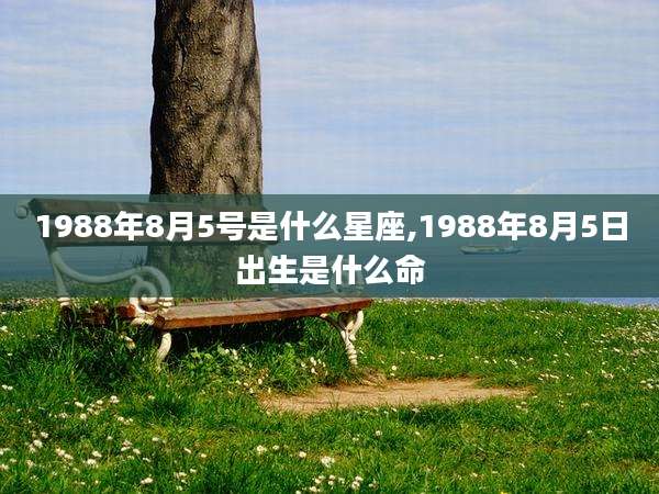 1988年8月5号是什么星座,1988年8月5日出生是什么命